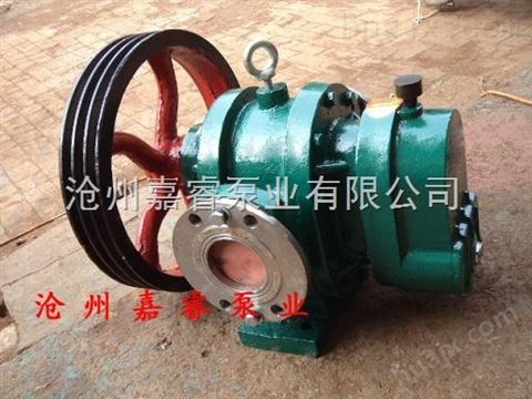 嘉睿齿轮泵厂家安徽LCX10-0.6罗茨泵