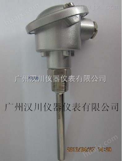 广州WZP-223铠装热电阻